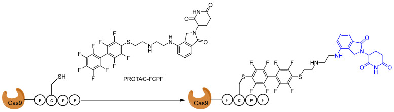 Figure 19