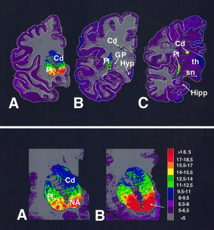 Fig. 1.