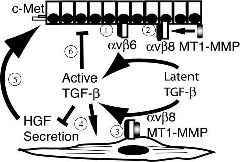 Figure 7-6929