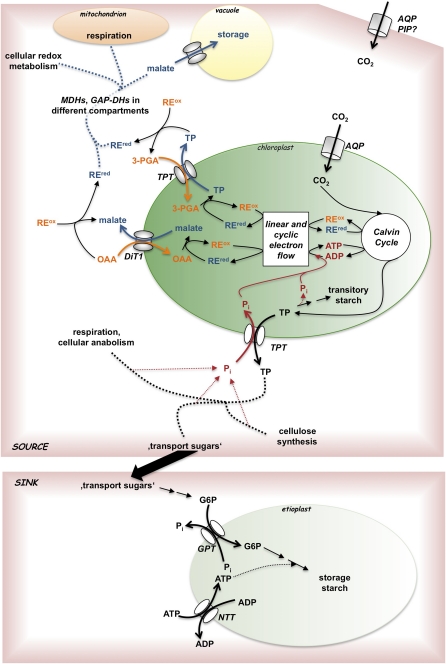 Figure 1.