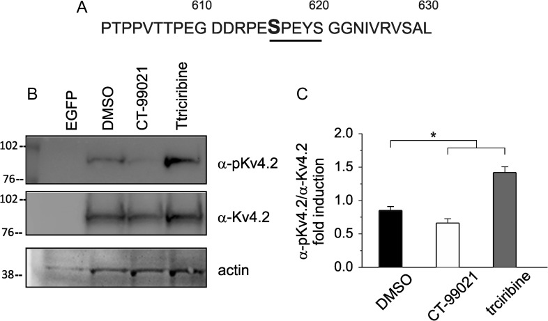 Figure 6.