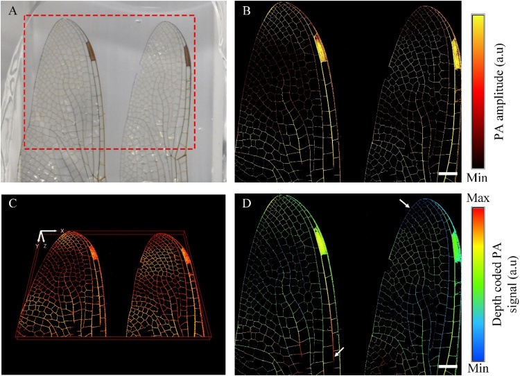 Fig. 4