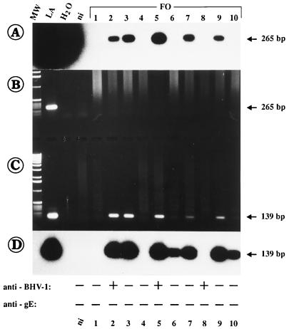 FIG. 6