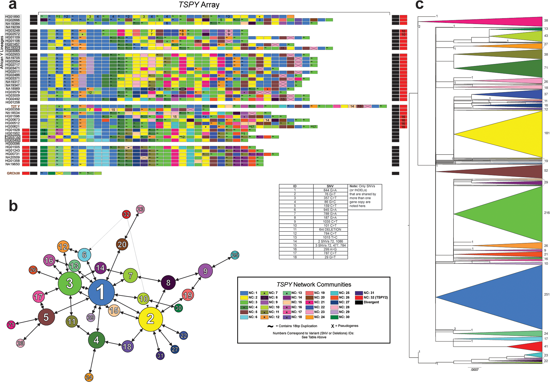 Extended Data Fig. 5.