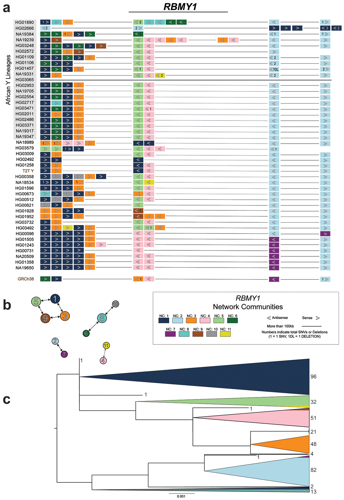 Extended Data Fig. 4.