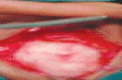 Fig2