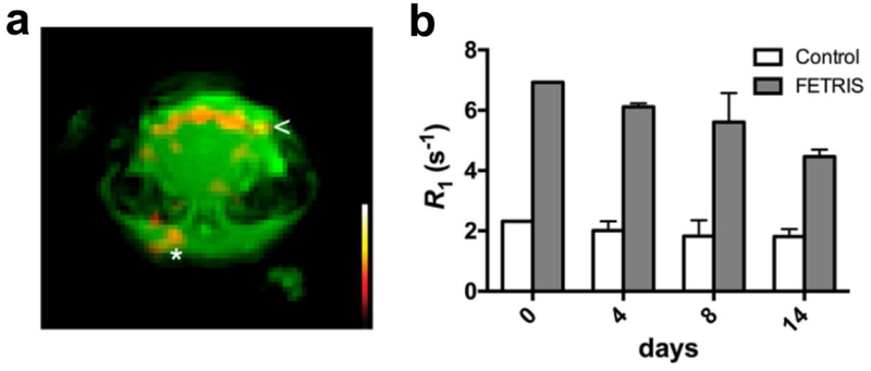 Figure 6.