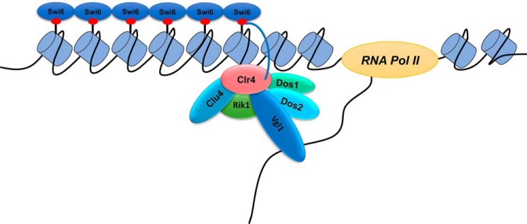 Figure 9.