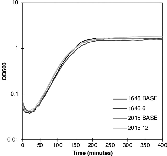 Figure 2.