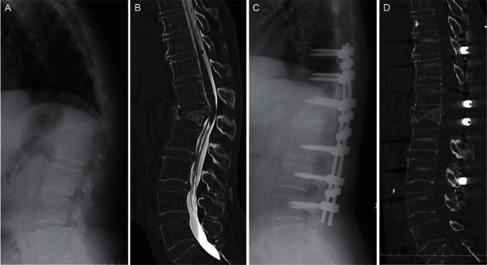 Fig. 6.