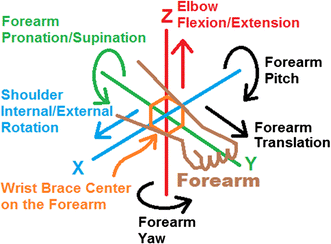Fig. 12