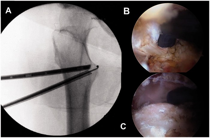 Fig. 3.