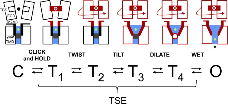 Figure 7.