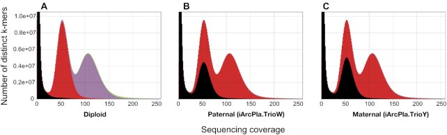 Figure 2: