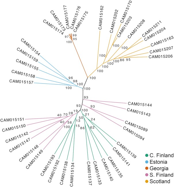 Figure 6: