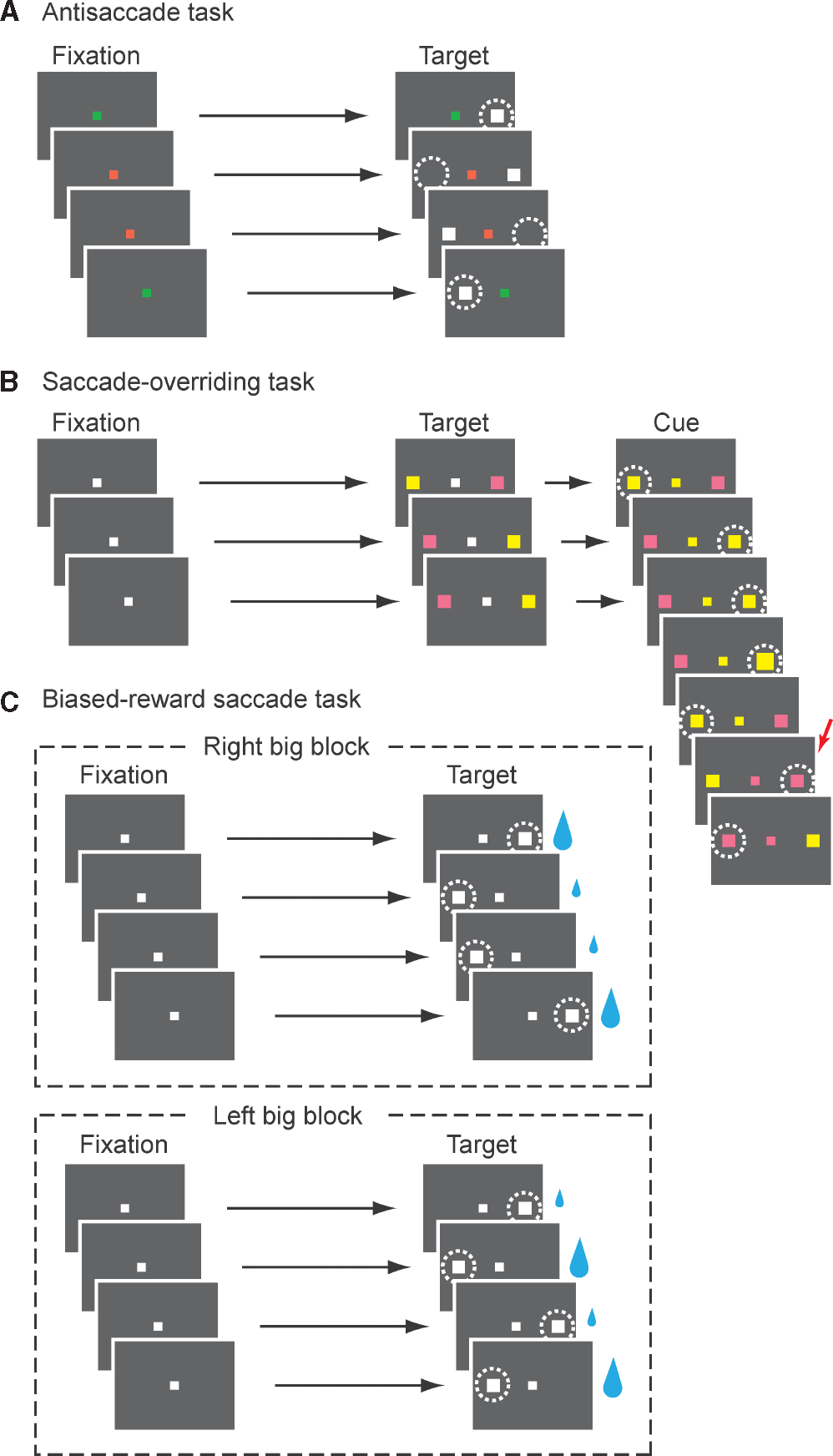 Fig. 3.