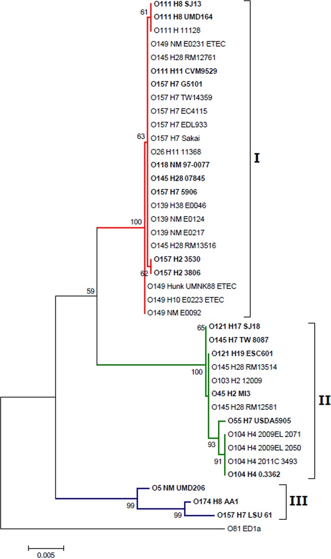 FIG 1