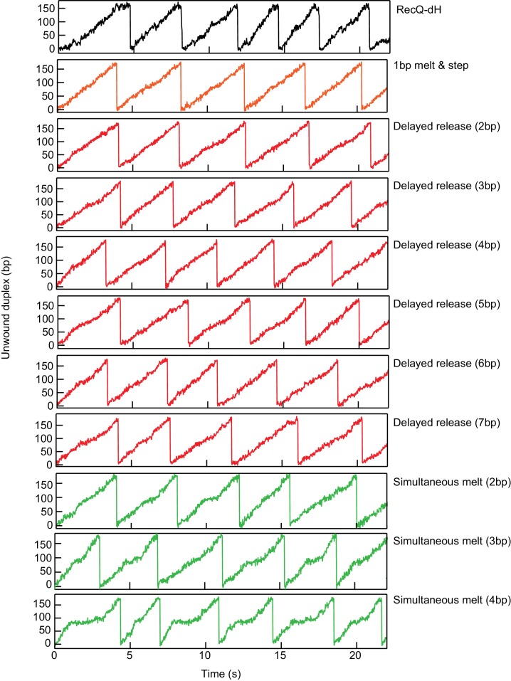 Figure 3—figure supplement 1.