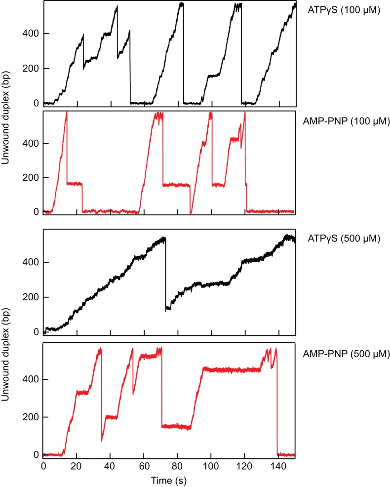 Figure 5—figure supplement 2.