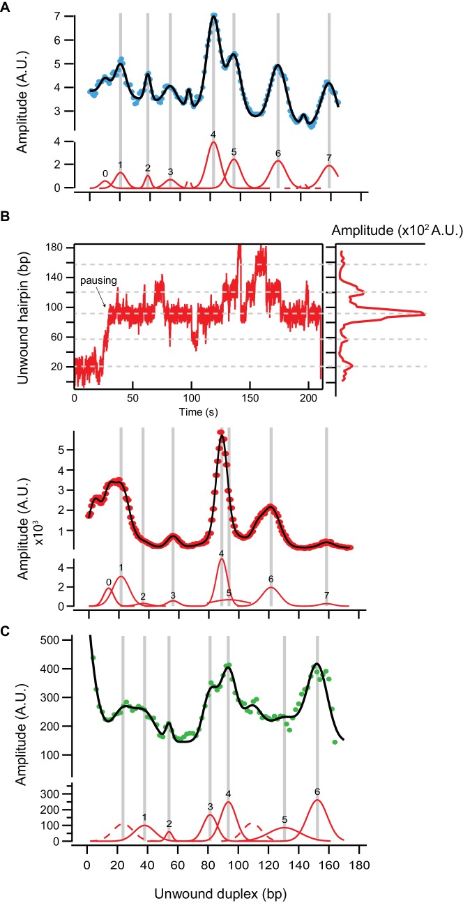 Figure 2—figure supplement 2.