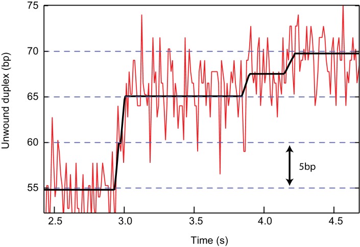 Figure 5—figure supplement 3.