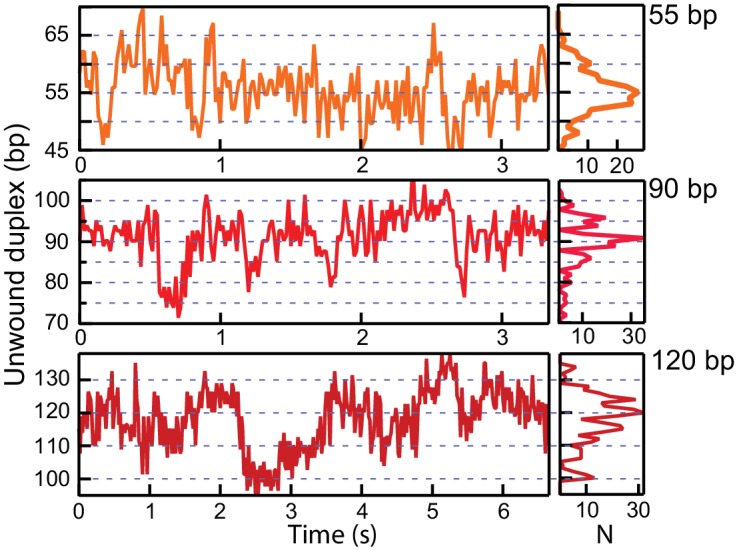 Figure 2—figure supplement 1.