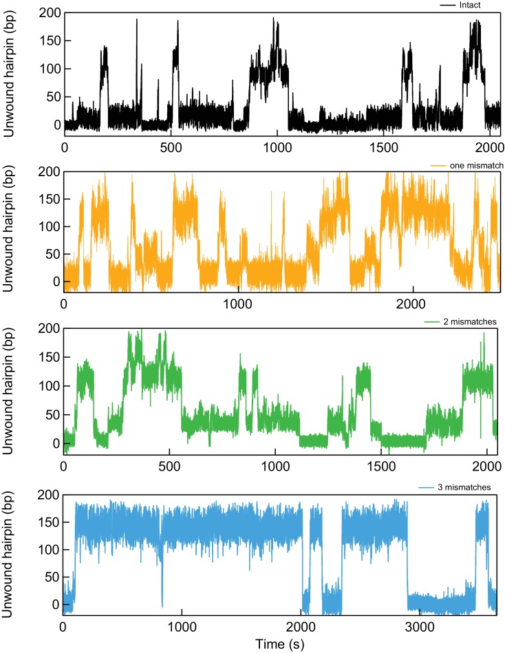 Figure 6—figure supplement 2.