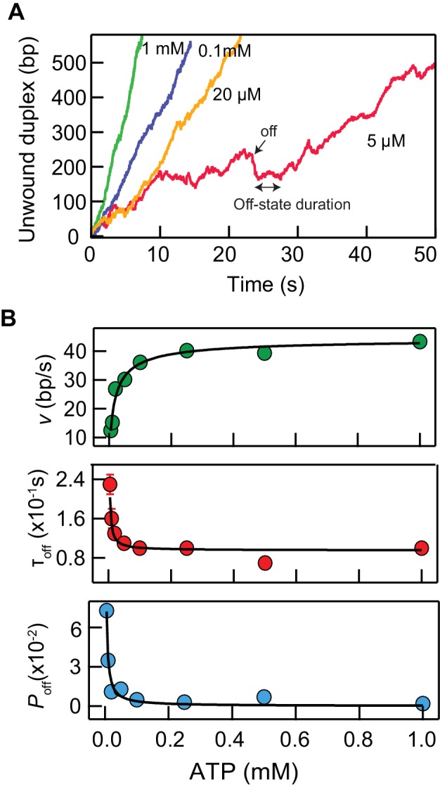 Figure 5—figure supplement 1.