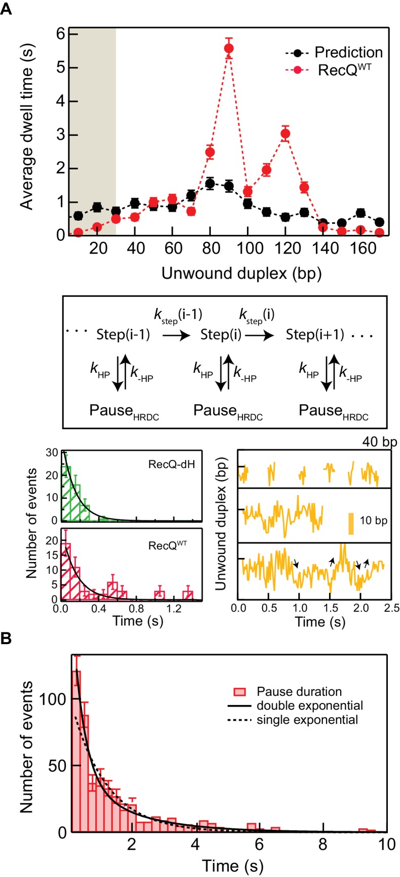 Figure 6—figure supplement 1.