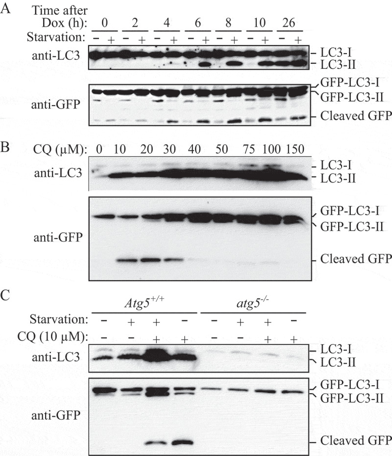 Figure 12.