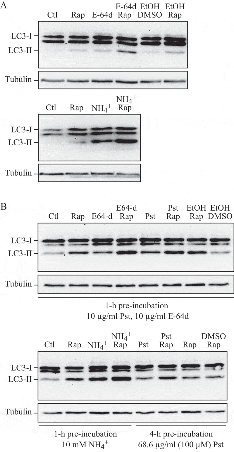 Figure 11.