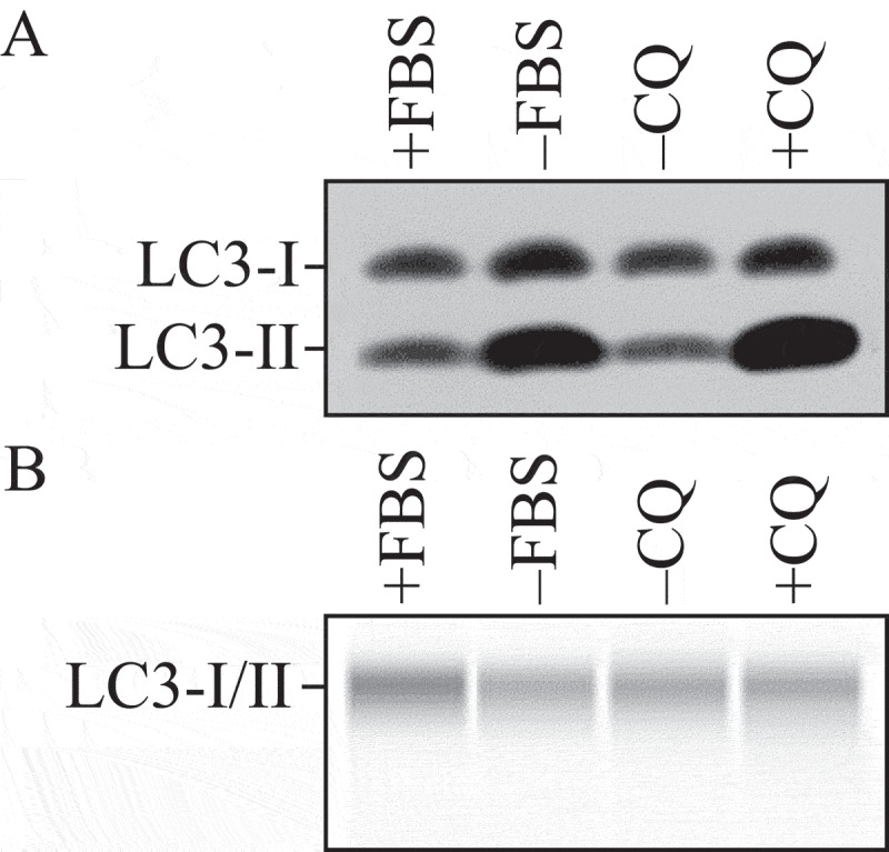 Figure 9.