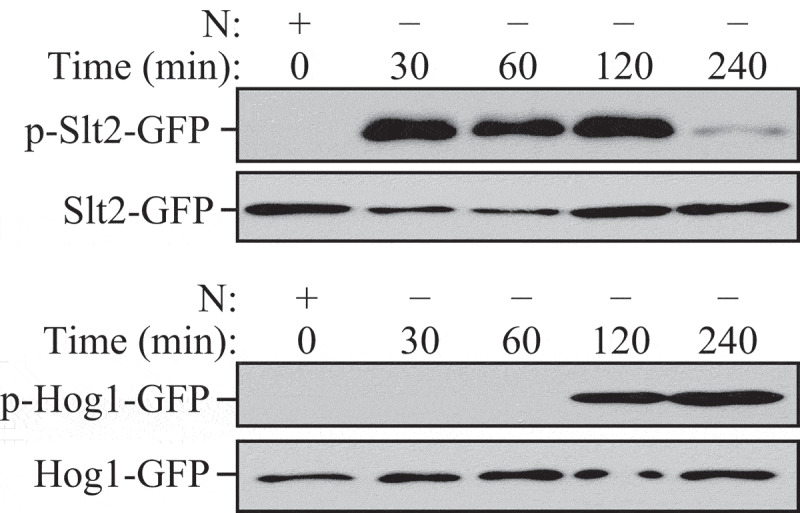 Figure 26.