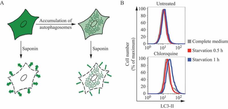 Figure 18.