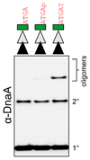 Extended Data Figure 6