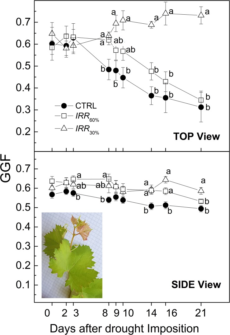 FIGURE 10