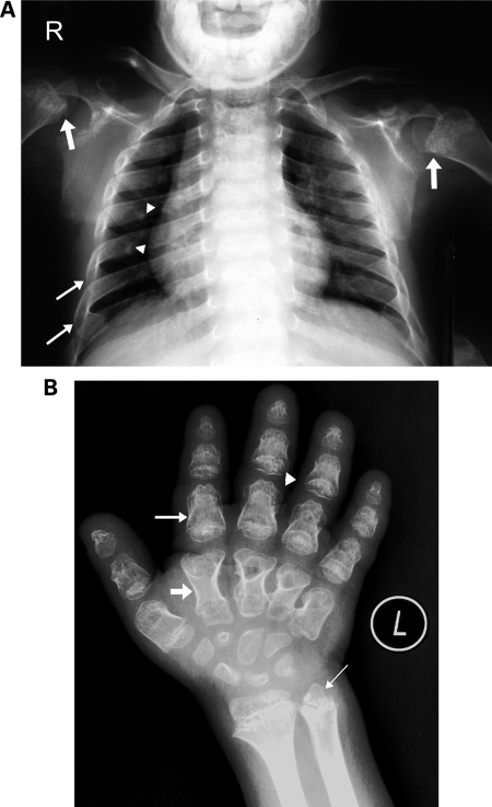 Figure 2.