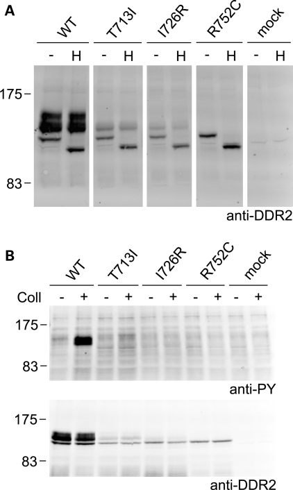 Figure 5.