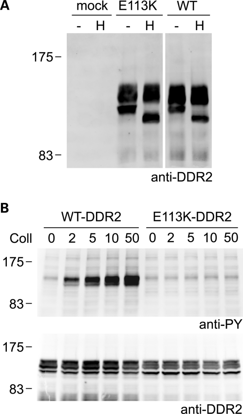 Figure 6.