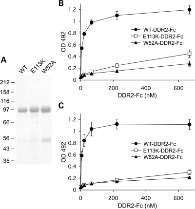 Figure 7.