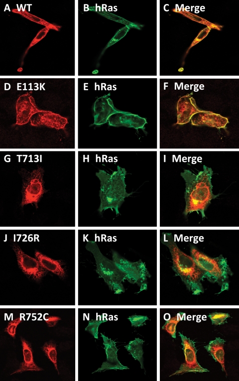 Figure 3.