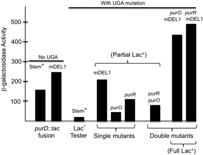 Figure 5 