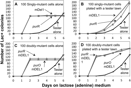 Figure 6 