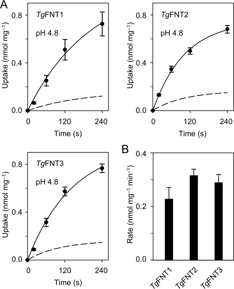 Figure 3.