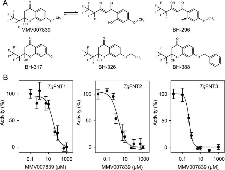 Figure 5.