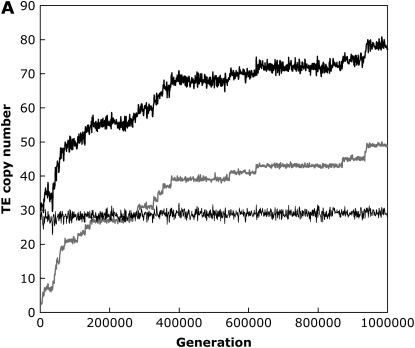 Figure 1.—