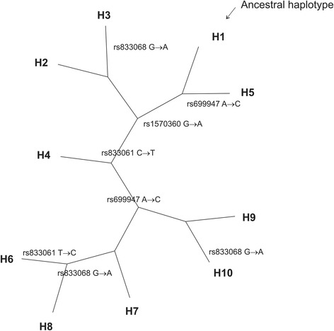 Fig. 2