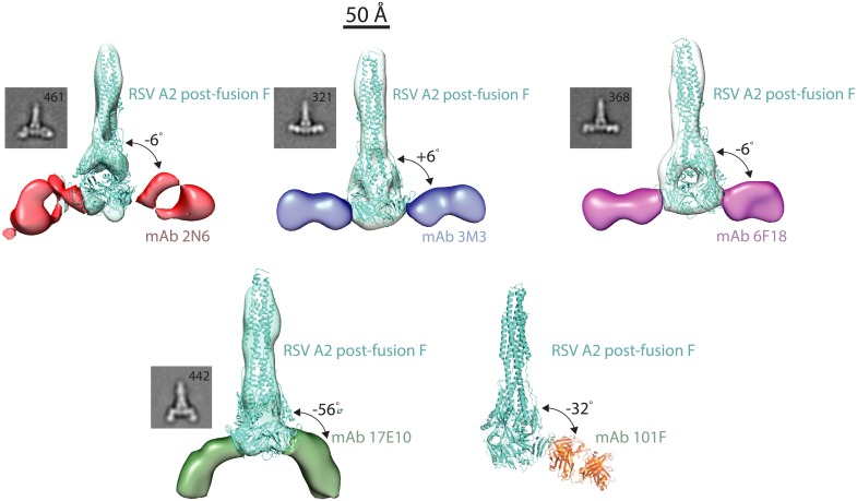 Fig 4