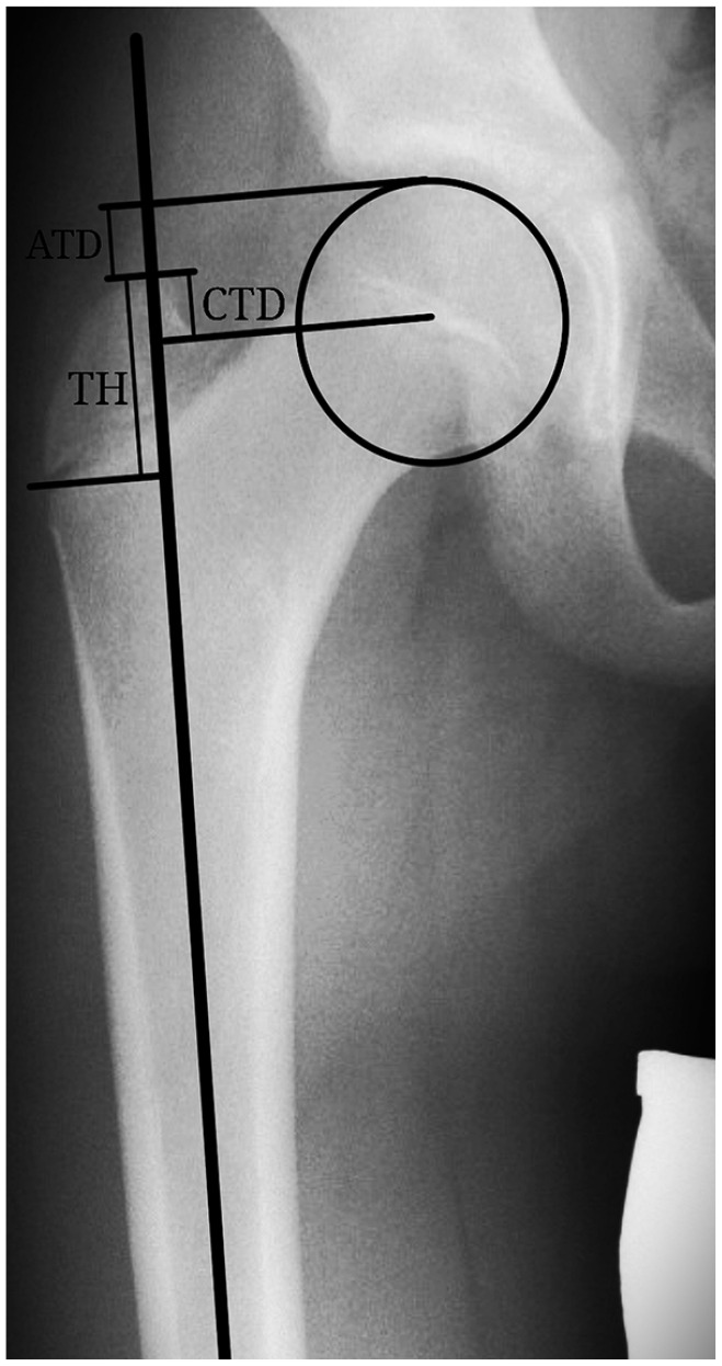 Figure 2.