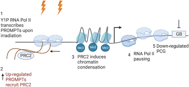 Figure 7.